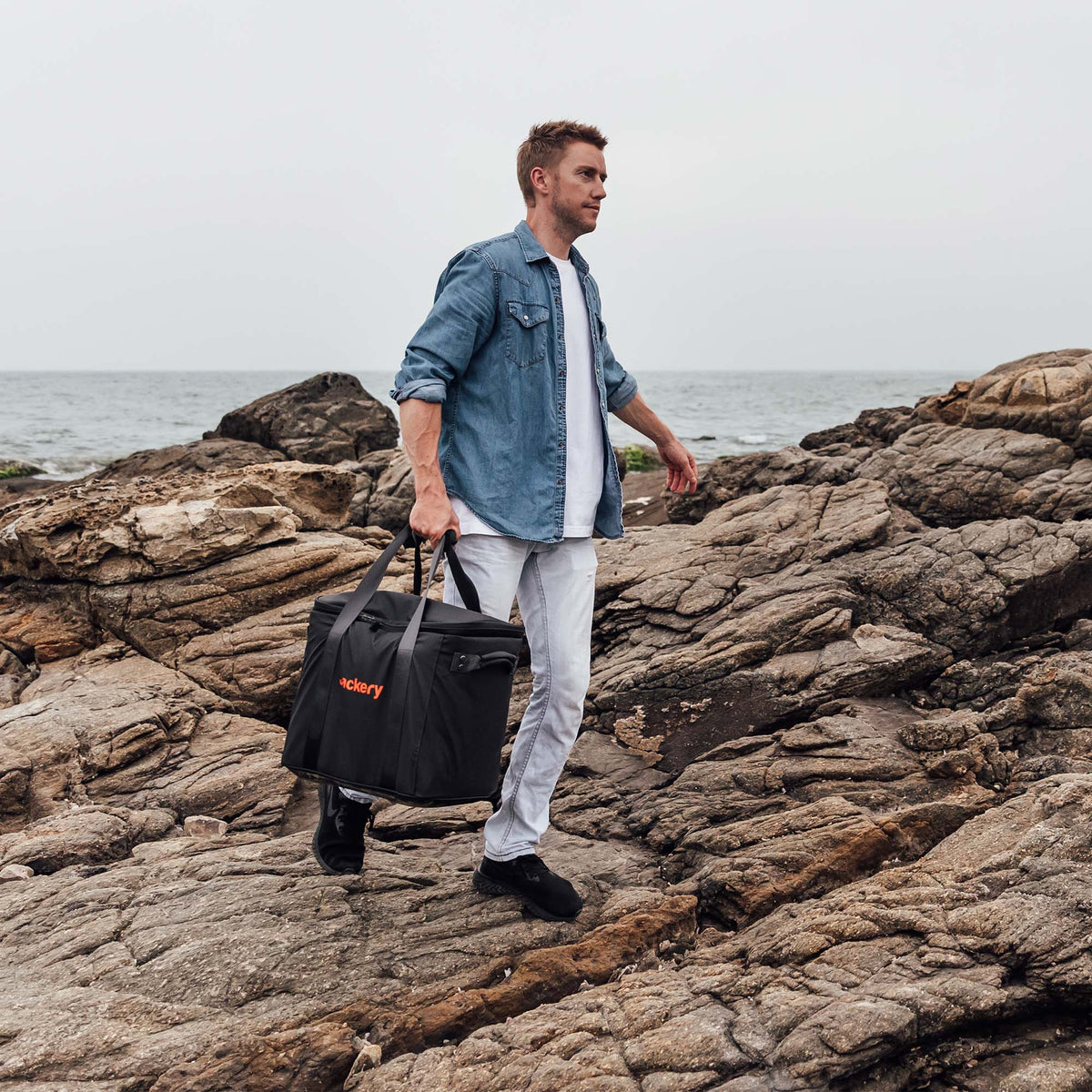 Jackery Carrying Case