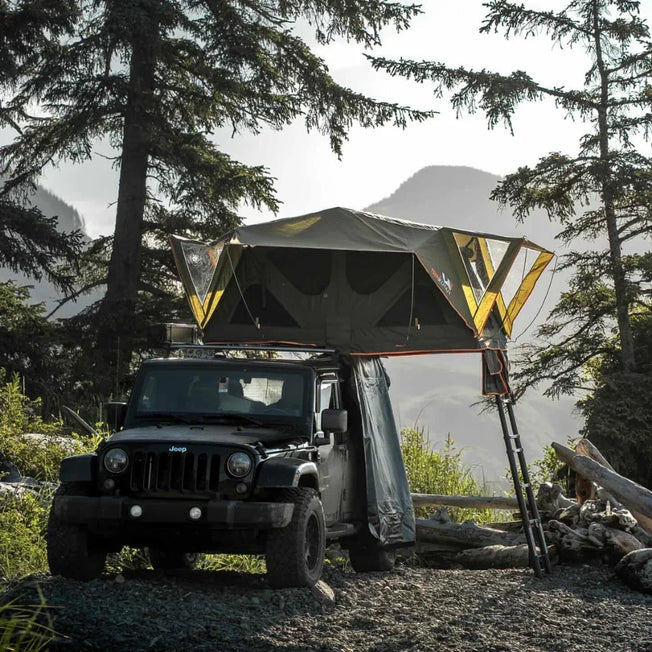 Andromeda Dark Green