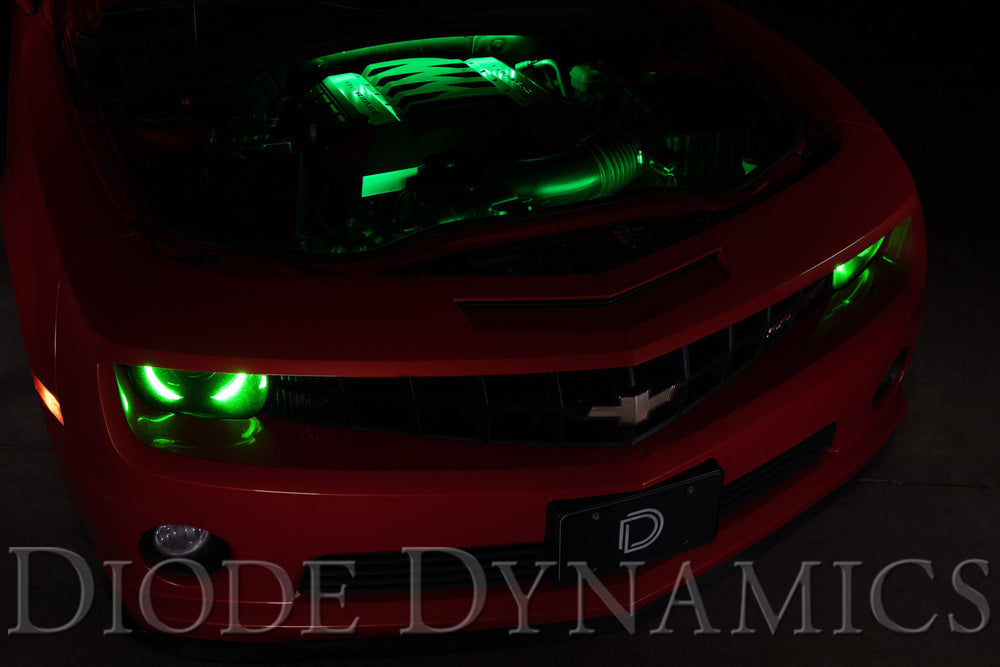 RGBW Multicolor Engine Bay LED Kit
