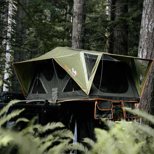 Andromeda Dark Green