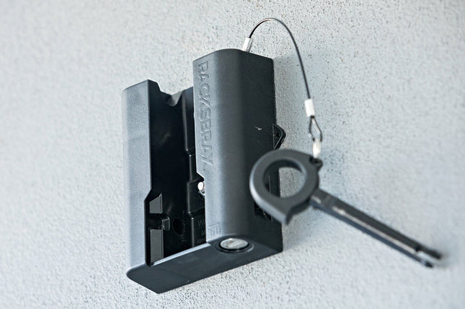 RBUS HD Lockable Wall Mount