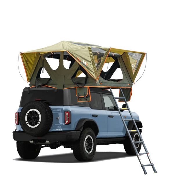 Andromeda Dark Green