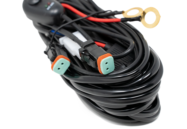 Wiring Harness - Dual Leg