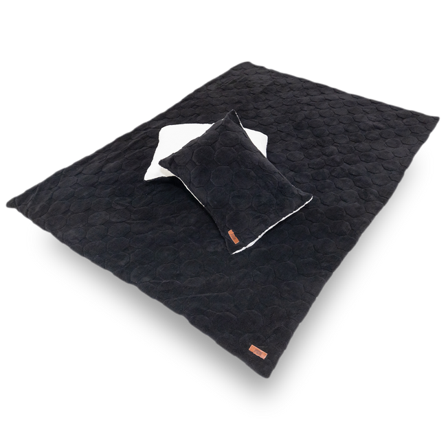 Cloud Comforter & Pillow Case Set