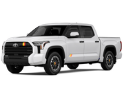 Tundra